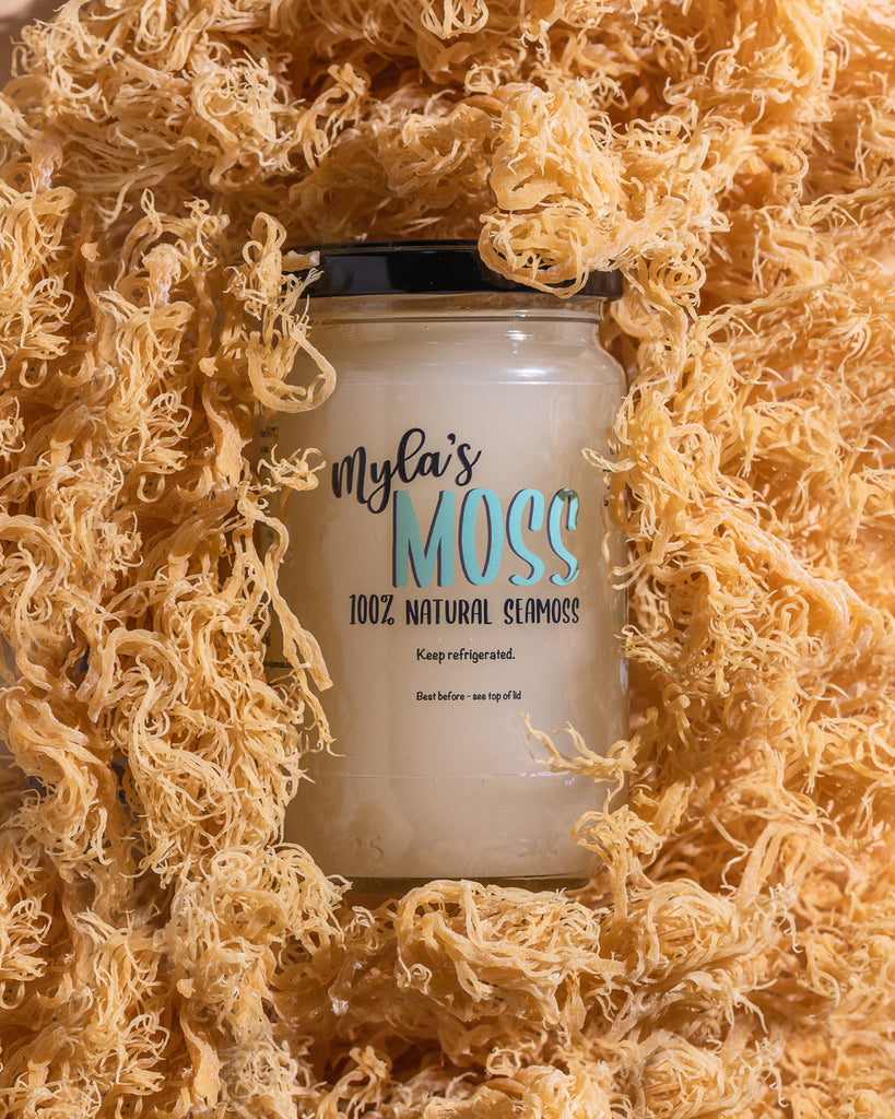 What is Sea Moss? | Health Benefits, Uses, & Side Effects