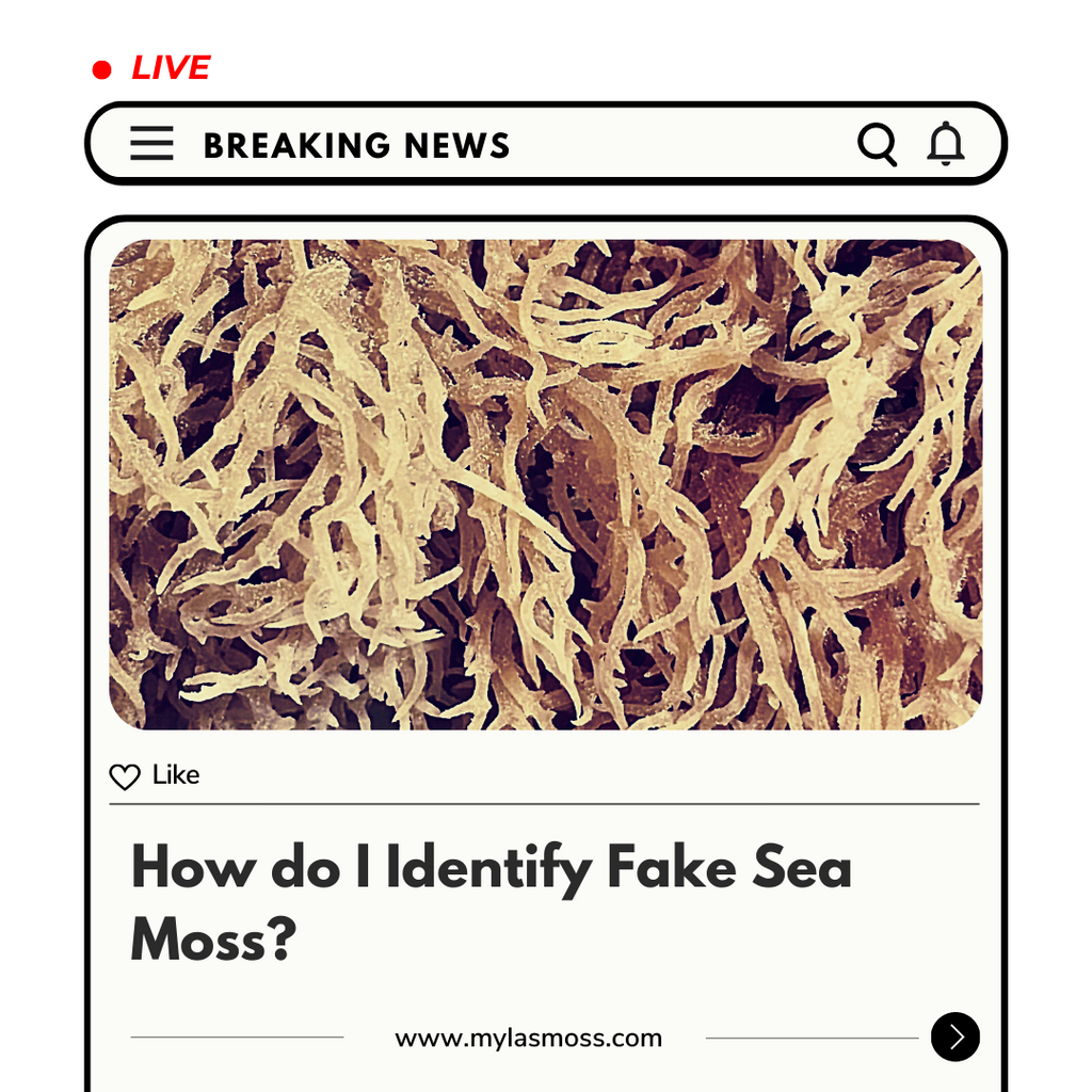 How do I Identify Fake Sea Moss?