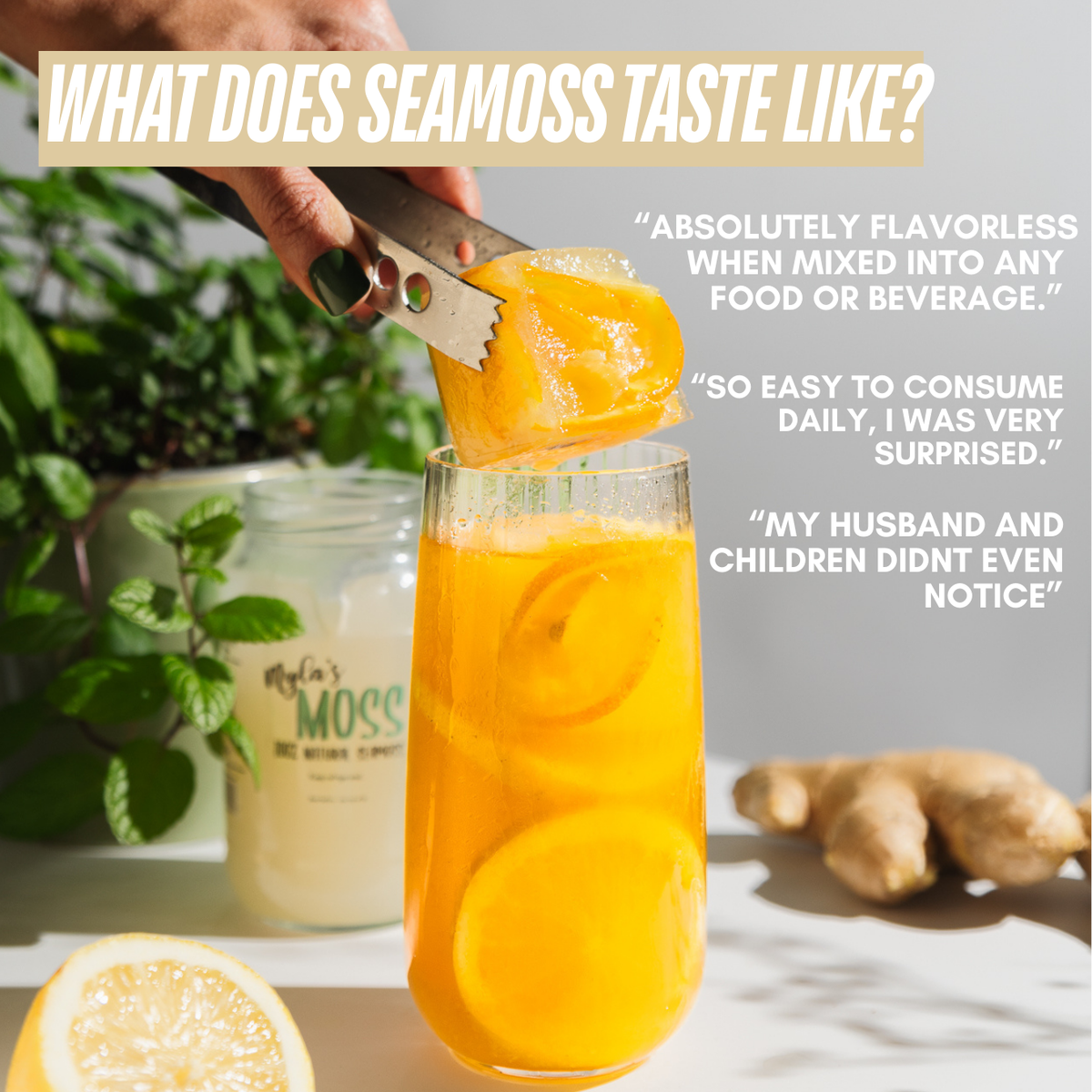 Graphic titled 'What does seamoss taste like?' with customer quotes, showing a jar of Myla's Moss sea moss gel beside a citrus and ginger drink