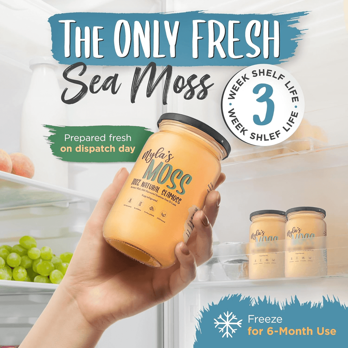 MYLASMOSS SEAMOSS GEL (340ML)