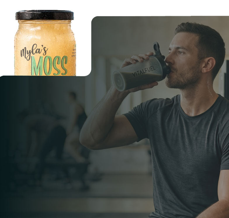 4 Benefits Of Sea Moss For